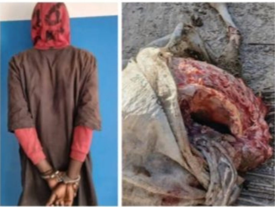 Parcelles Assainies : un homme arrêté en plein dépeçage d’un mouton mort