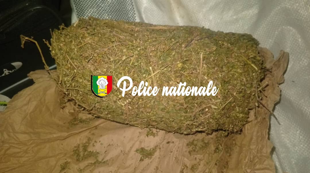 Karang :  les trafiquants abandonnent 10 kg de chanvre