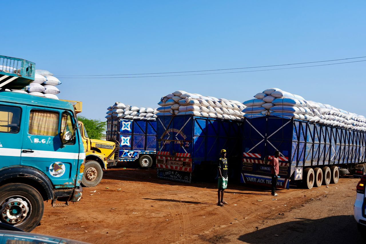 Prix bas et manque de transparence : le Collectif « Rappel à l’Ordre » interpelle l’État sur la filière arachide