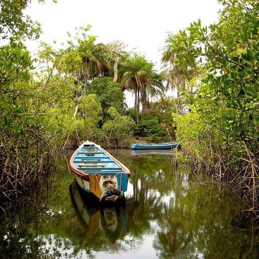 Pêche artisanale : un secteur en crise profonde