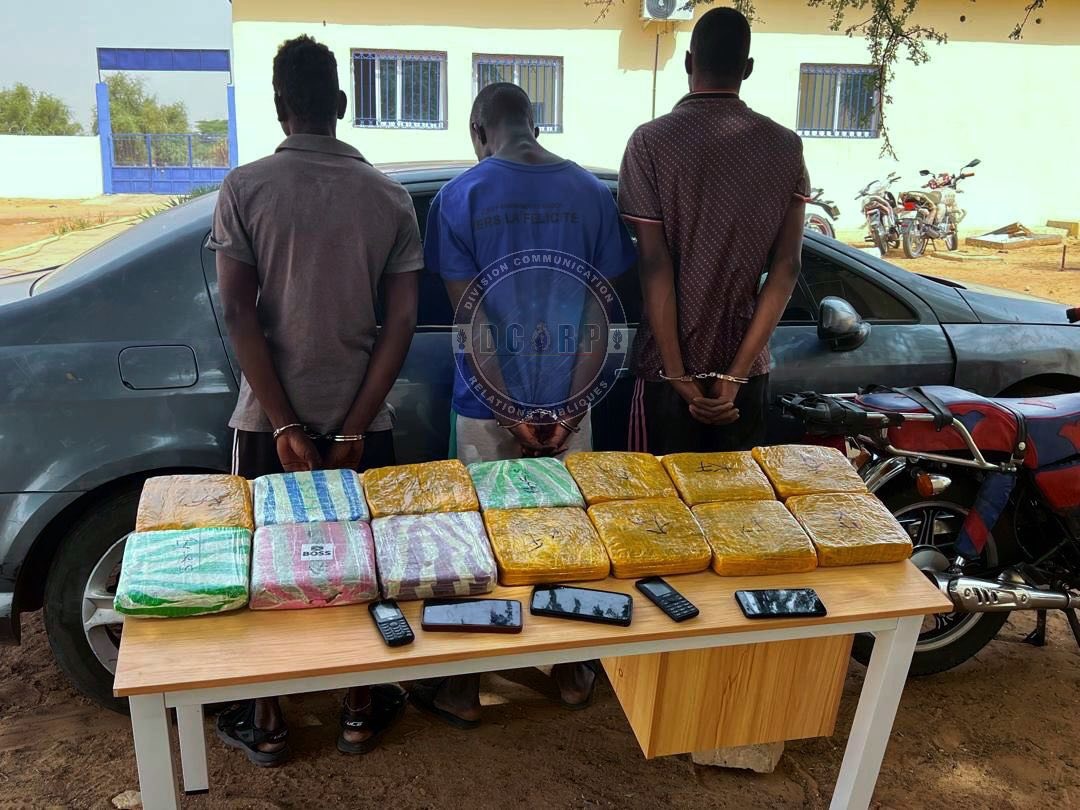 Lutte contre le trafic de drogue : trois individus interpellés à Aéré Lao avec 14 kg de chanvre indien