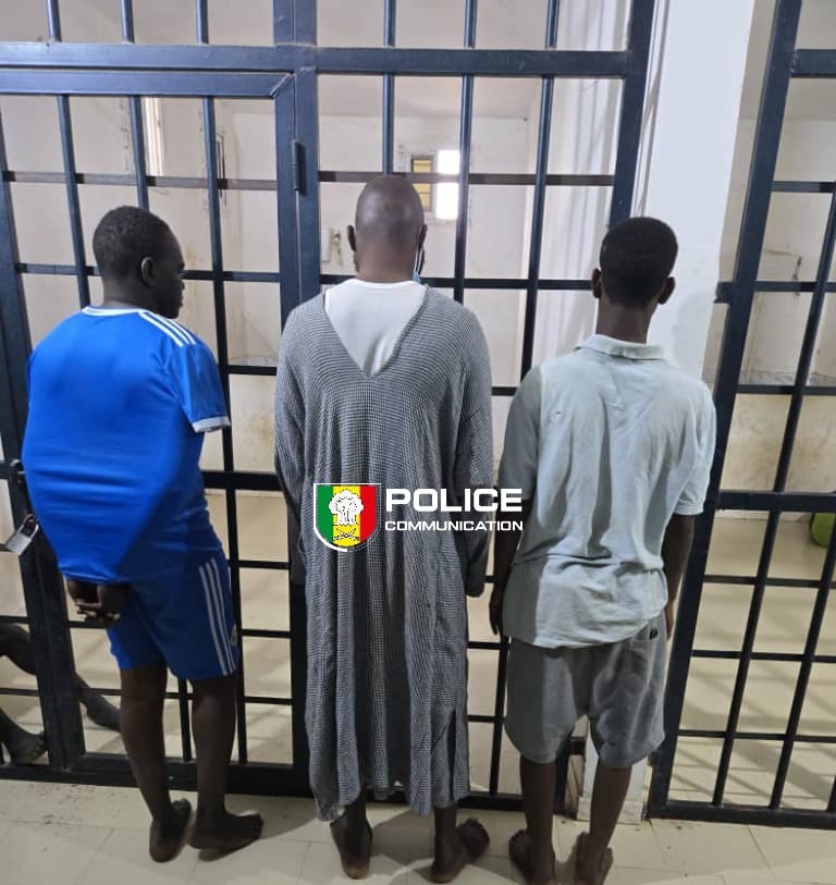 Nioro du Rip : la police démantèle un réseau structuré de vol de bétail opérant jusqu’à Kaolack