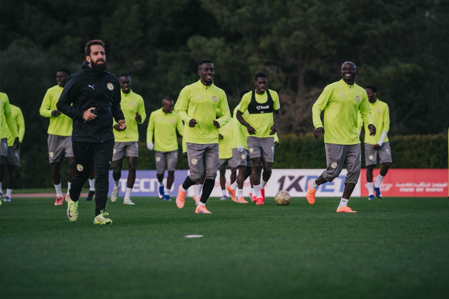 Fenêtre FIFA : les Lions face au Pérou et à la Gambie en mars