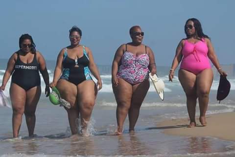 Arrêt sur Image: Au moins elles pèsent deux tonnes