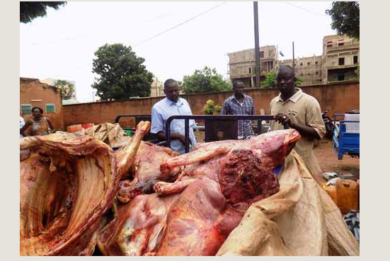 Technopole; une bande d'abatteurs clandestin d'ânes arrêtée
