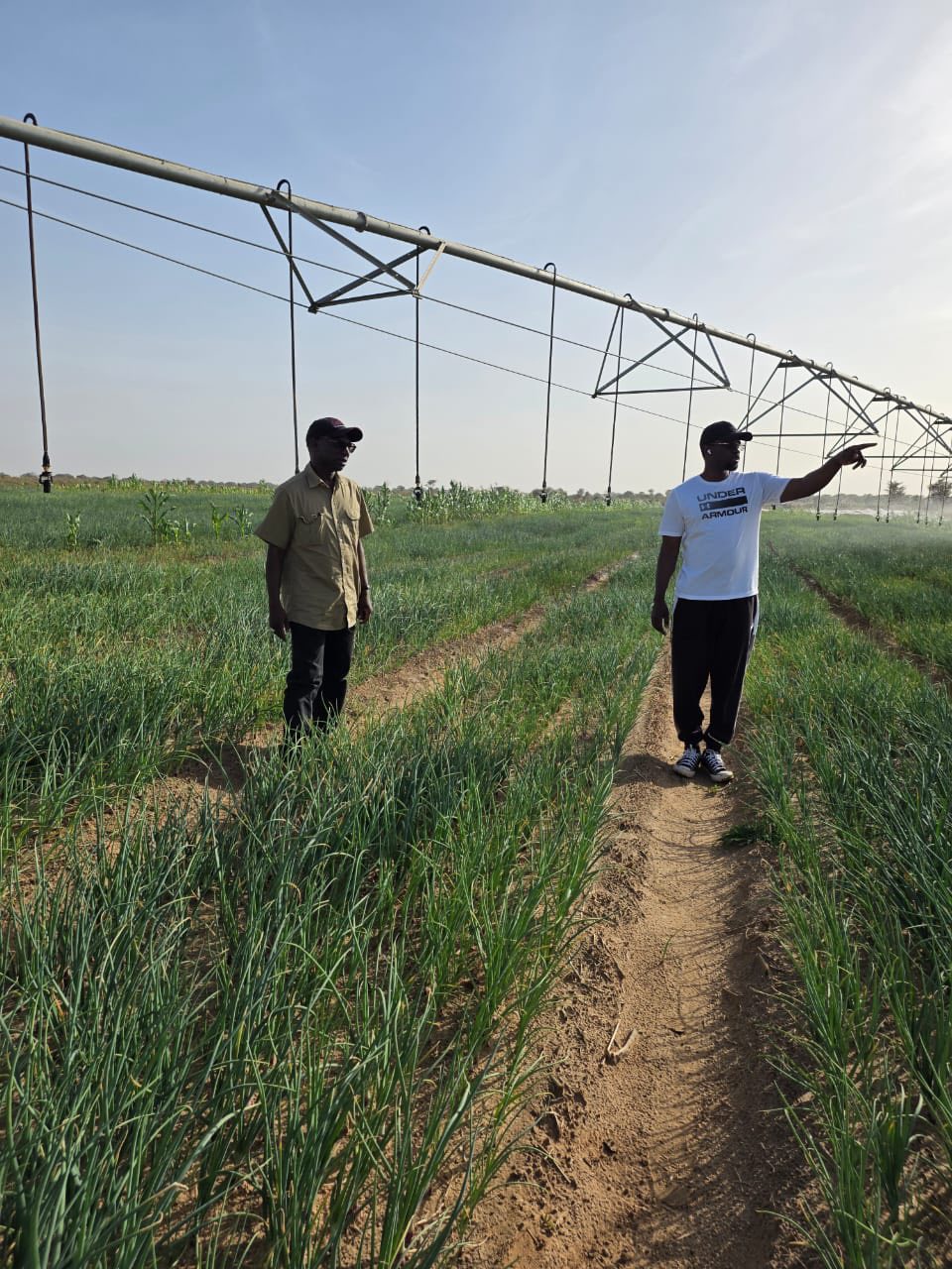 Ousmane Sonko  : « Le pari de la souveraineté est d’abord un pari individuel »