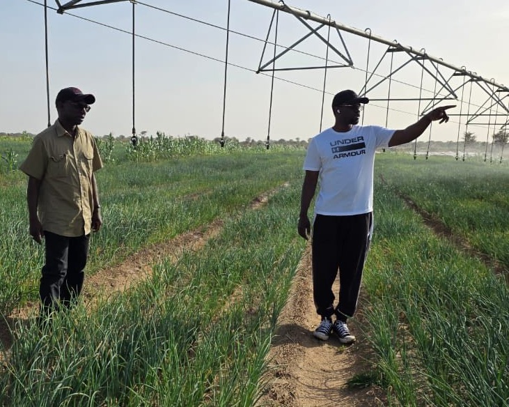 Mabouba Diagne : « J’ai accueilli Ousmane Sonko dans mes exploitations agricoles pour... »