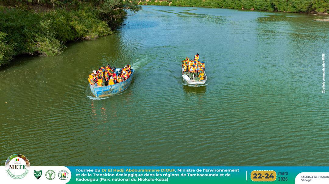 Tambacounda–Kédougou : le ministre de l’Environnement en immersion au cœur des enjeux écologiques