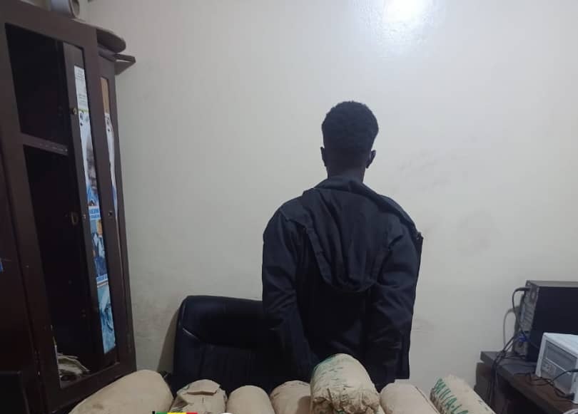 Trafic de drogue : un cultivateur intercepté avec 3 kg de chanvre à Sédhiou
