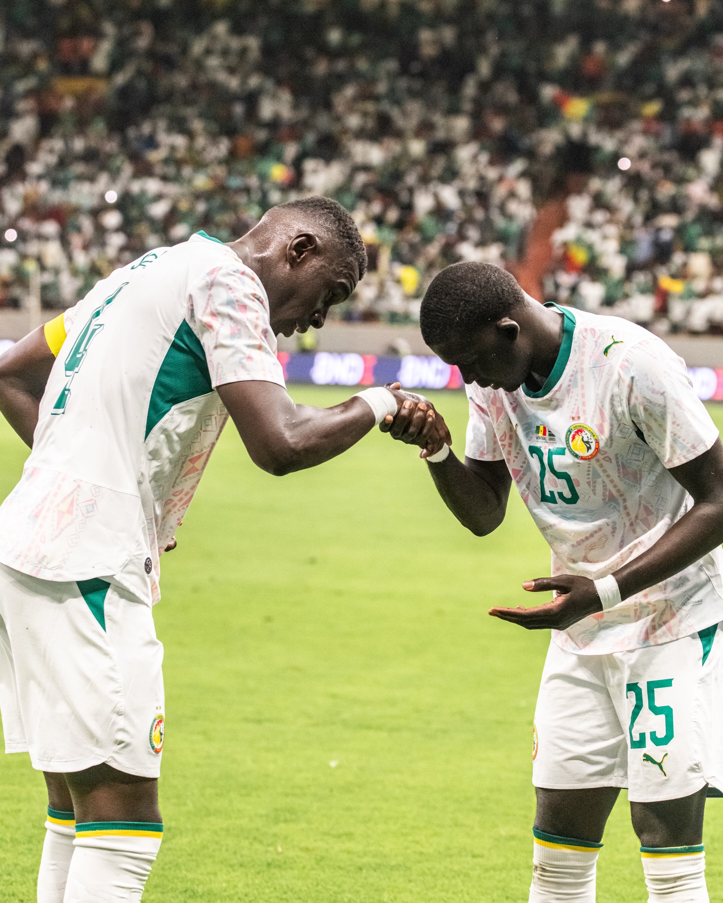 FSF : Les Lions rapportent plus de 2 milliards CFA grâce aux matchs amicaux