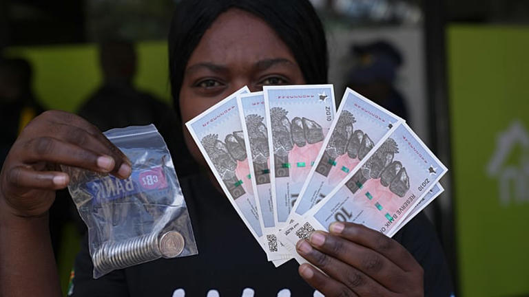 Zimbabwe : une nouvelle monnaie pour relancer l’économie