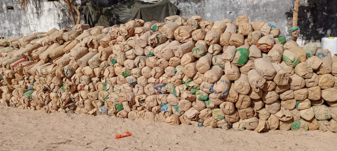 Coup de filet dans le Sud : 9,25 tonnes de chanvre indien saisies par l’armée
