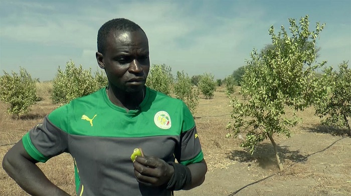Sénégal : Ferdinand Coly cité dans un dossier de 16 milliards FCFA épinglé par la Cour des comptes