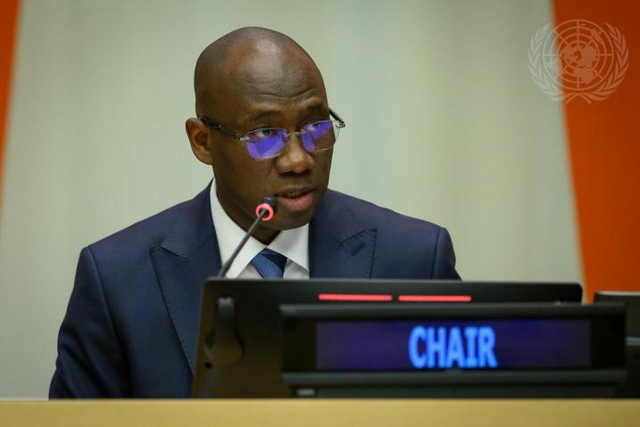 Nations Unies : l’ambassadeur Coly Seck élu à la tête de la Quatrième Commission