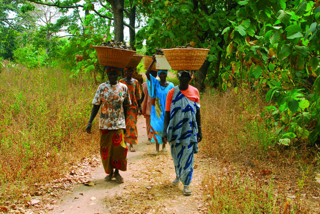 Casamance: La population accuse les ONG de vivre sur leur sang