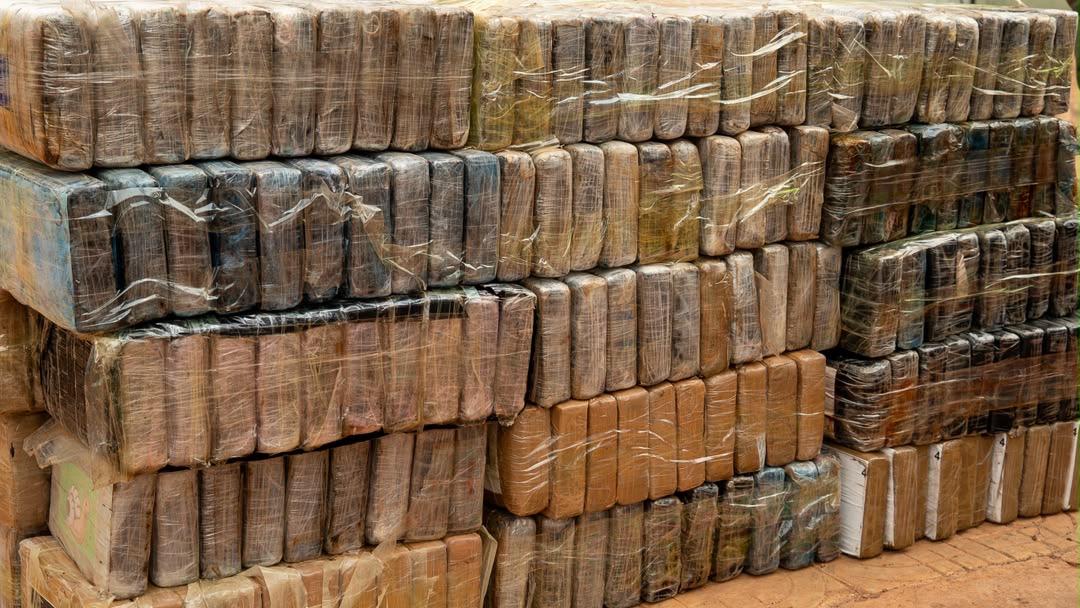 Trafic international de drogue : 970,6 kg de cocaïne interceptés dans le Sud-Est du Sénégal