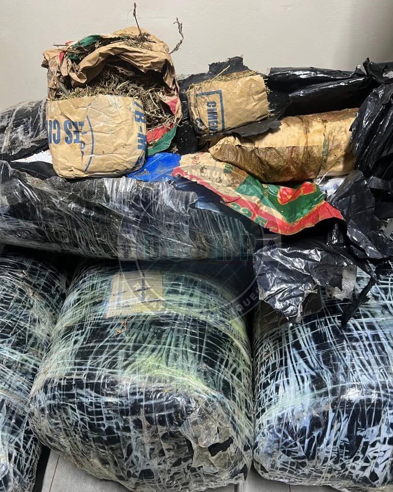 Trafic de drogue : plus de 300 kg de chanvre indien saisis à Thiaroye, deux suspects arrêtés