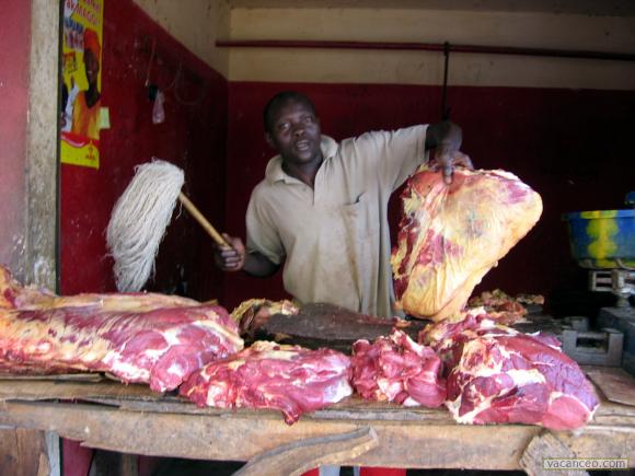 Viande jusqu’à 6 500 FCFA le kilo : les éleveurs expliquent la flambée des prix
