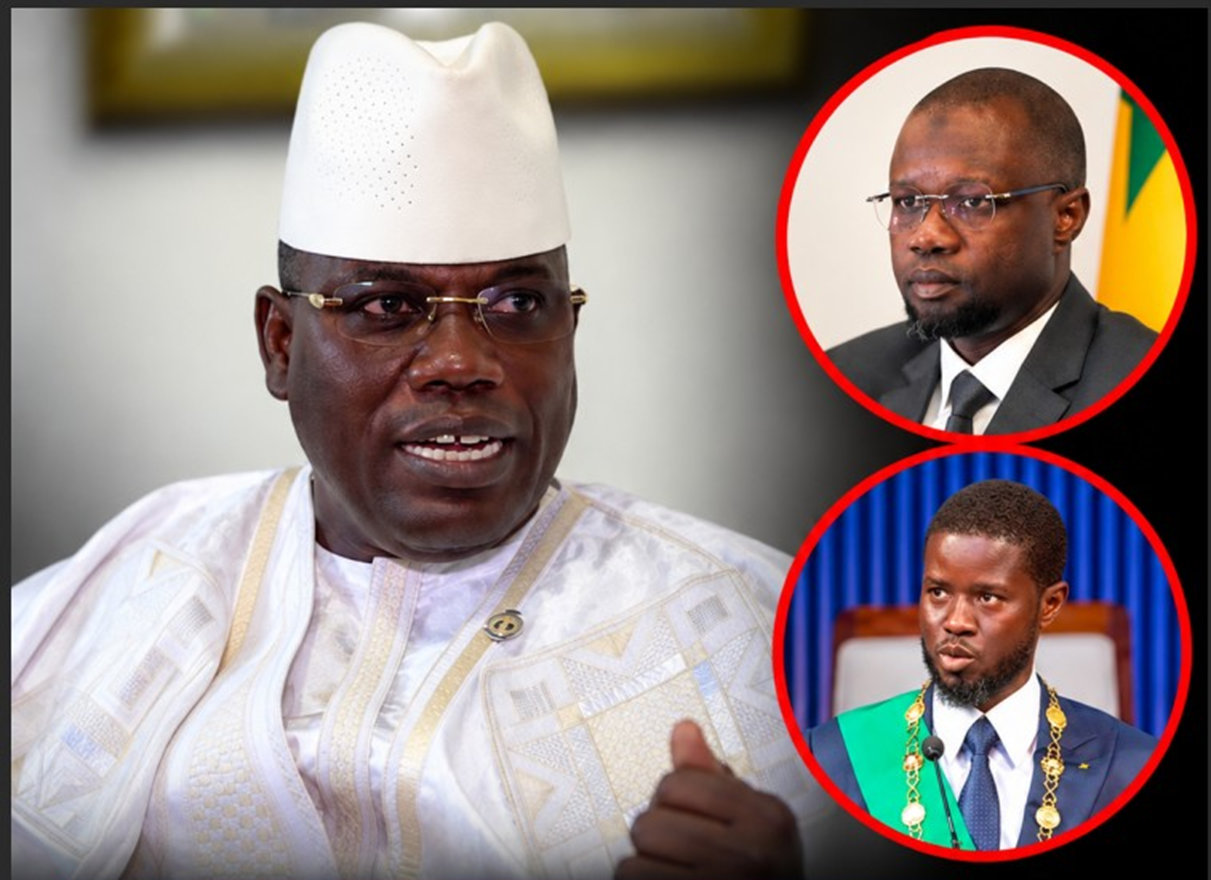 Cheikh Abdou Bara Dolly : « On a confié le Sénégal à des apprentis »