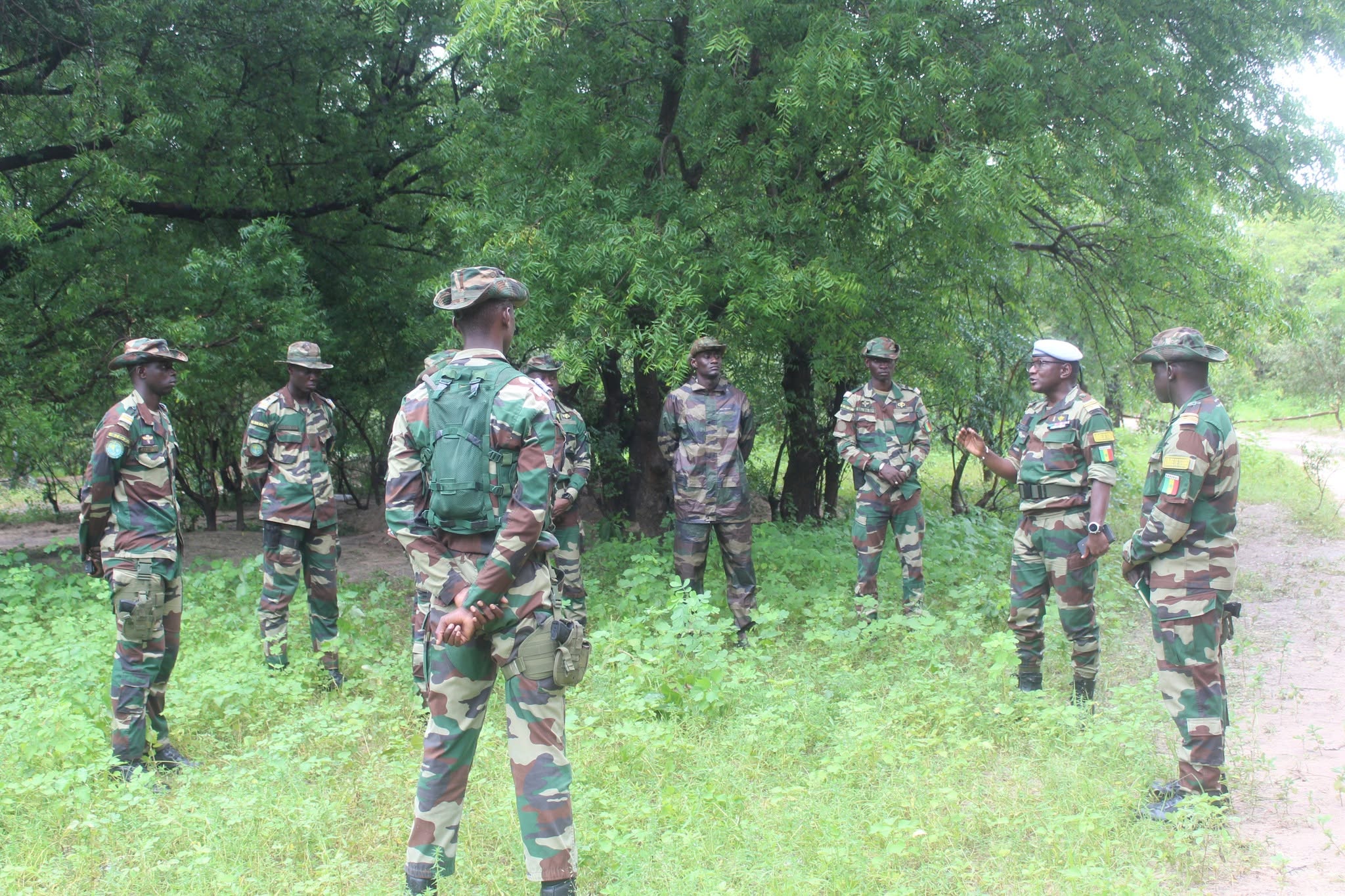 ENOA : les élèves officiers à l’épreuve de la « vie en campagne »