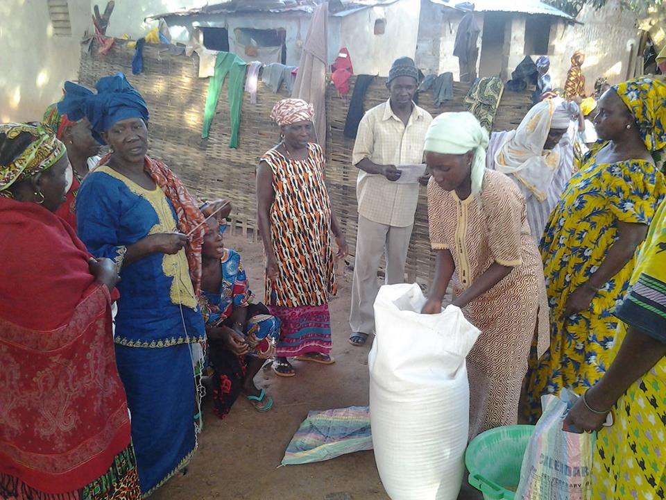 Photos: Dr Ibrahima Mendy distribue des tonnes de semences de riz aux agricultrices de Ziguinchor