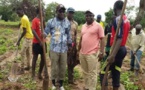 BIGNONA : Le président Mamina Kamara et Mamadou Lamine Keita deviennent des "cultivateurs"