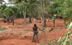 En Côte d’Ivoire, on détruit les plantations de cacao pour chercher de l’or