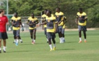 Première séance d'entraînement des lions à Johannesburg (Video)
