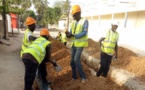 Législatives: Macky Sall prépare sa campagne et lance les travaux de l'assainissement de Ziguinchor