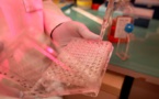 Vaccin contre le Sida: le laboratoire Biosantech arrête ses travaux