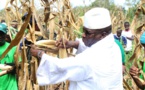 Guinée équatoriale : Yahya Jammeh veut se lancer dans l’agriculture