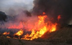 Incendie au foirail de  Diameguéne Sicap Mbao: Des millions partis en fumée