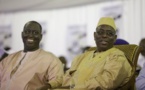 Adama Gaye : « Aliou Sall est un vice-président d'une ambition folle » Regardez