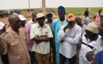 Vidéo : Serigne Mboussobé Bousso en tournée dans les périmètres rizicoles du delta fleuve Sénégal