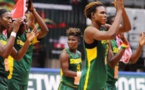 Afrobasket: les lionnes empochent chacune 8 millions, malgré la défaite