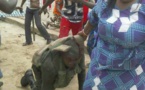 Togo: un militaire tabassé à mort par une Femme ménagère