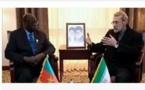 Insulte à la diplomatie sénégalaise:  L’Iran reçoit Niasse avec le drapeau du Cameroun