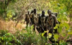 Le Mfdc met en garde l'Etat du Sénégal, alerte l'opinion internationale et appelle ses combattants à résister