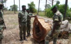 Deux agents des Eaux et Forêts sénégalais arrêtés en Gambie