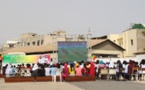 Sénégal- Pologne: le PUDC "gâte" les étudiants avec un écran géant 