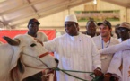 Macky Sall offre 1 milliard aux éleveurs de Kanel, Linguère, Matam,  Podor, Ranérou...