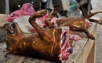 Guédiawaye : Un homme arrêté avec de la viande de chien