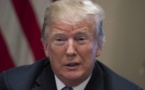 Trump veut la fin de l'enquête russe "avant qu'elle ne salisse plus le pays"