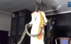 Meeting à Thiès : Un féticheur sort un gros serpent et prédit la victoire d'Idrissa Seck en 2019
