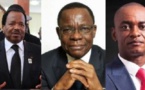 Présidentielle au Cameroun : comment Internet et les « fake news » se sont invités dans la bataille