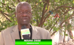 Nouha  Cissé: «Le processus de paix en Casamance est handicapé dès son départ»
