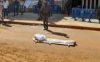 Un « cadavre » devant le Conseil constitutionnel