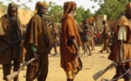 Accusée d'avoir massacré des Peulhs: La milice "Nan Amassagou" dénonce sa dissolution