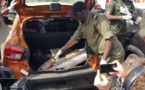 Cocaïne volée au Port de Dakar: De hauts responsables tombent 