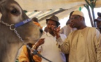 Baba Diao prépare sa riposte contre Macky Sall 